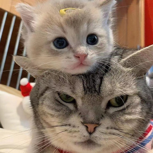 3D怪物无尽的动漫人物
